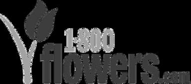 Partner logo 1
