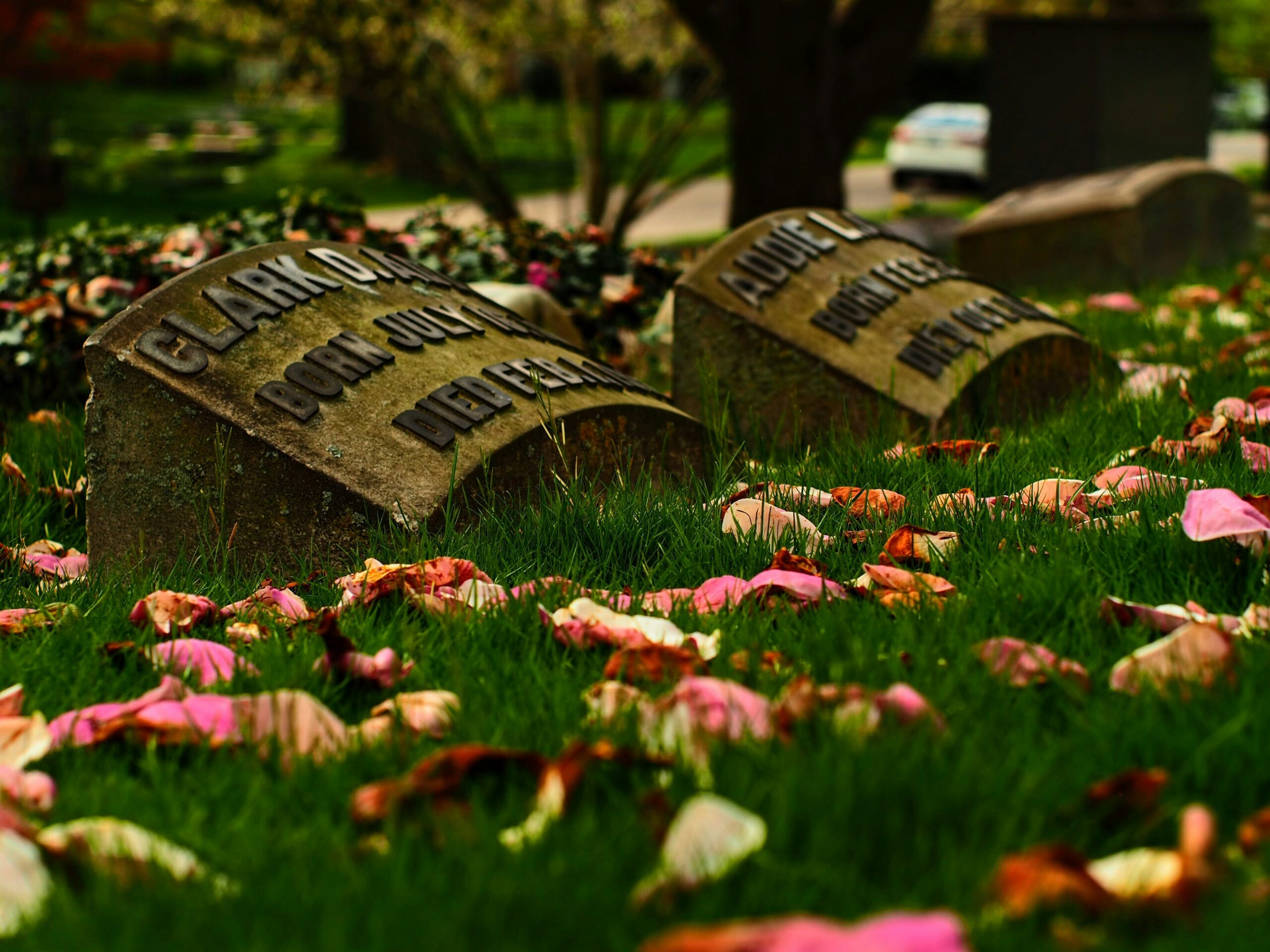 cemetery vault