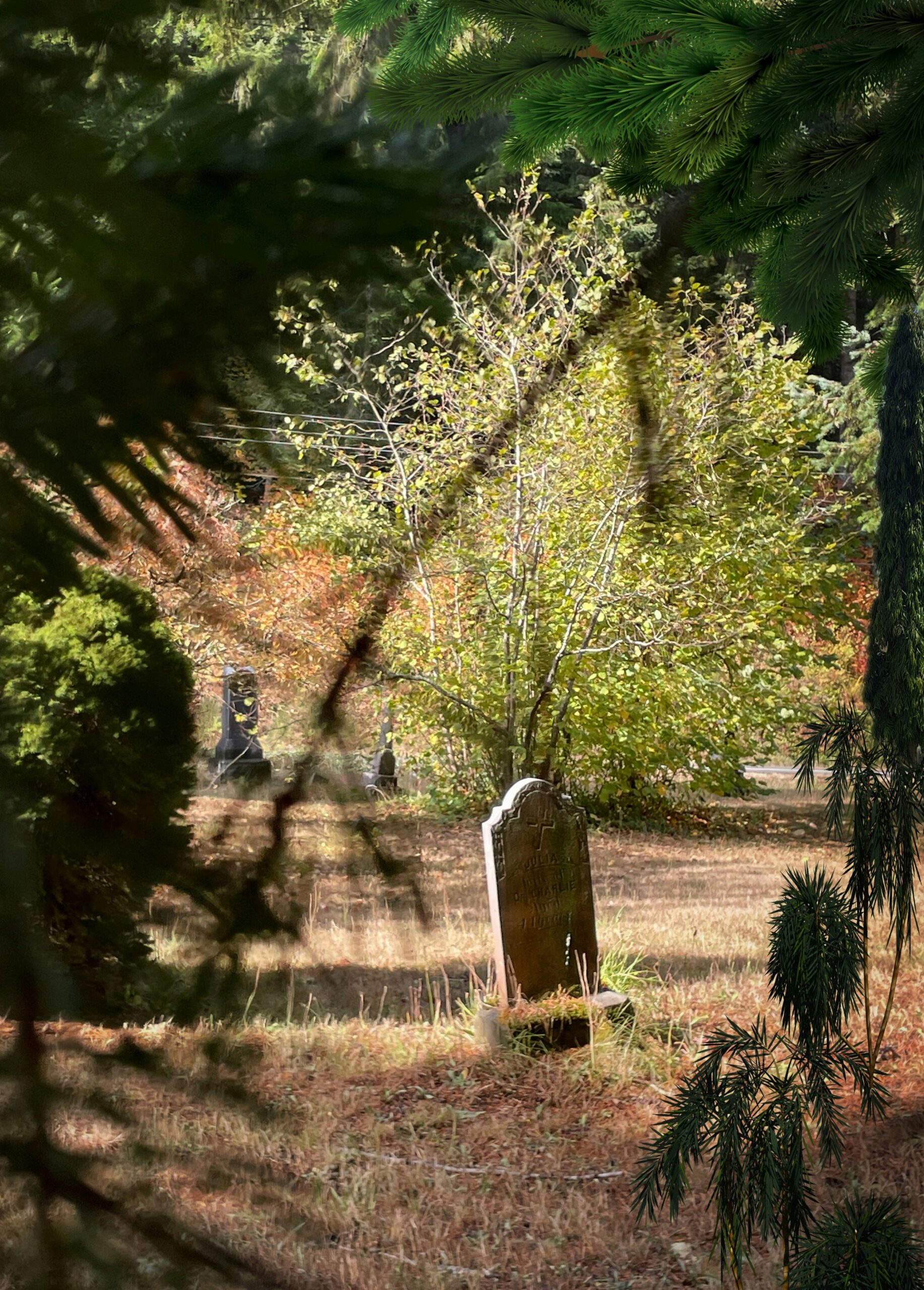 Single cemetery vault display showcasing a burial vault