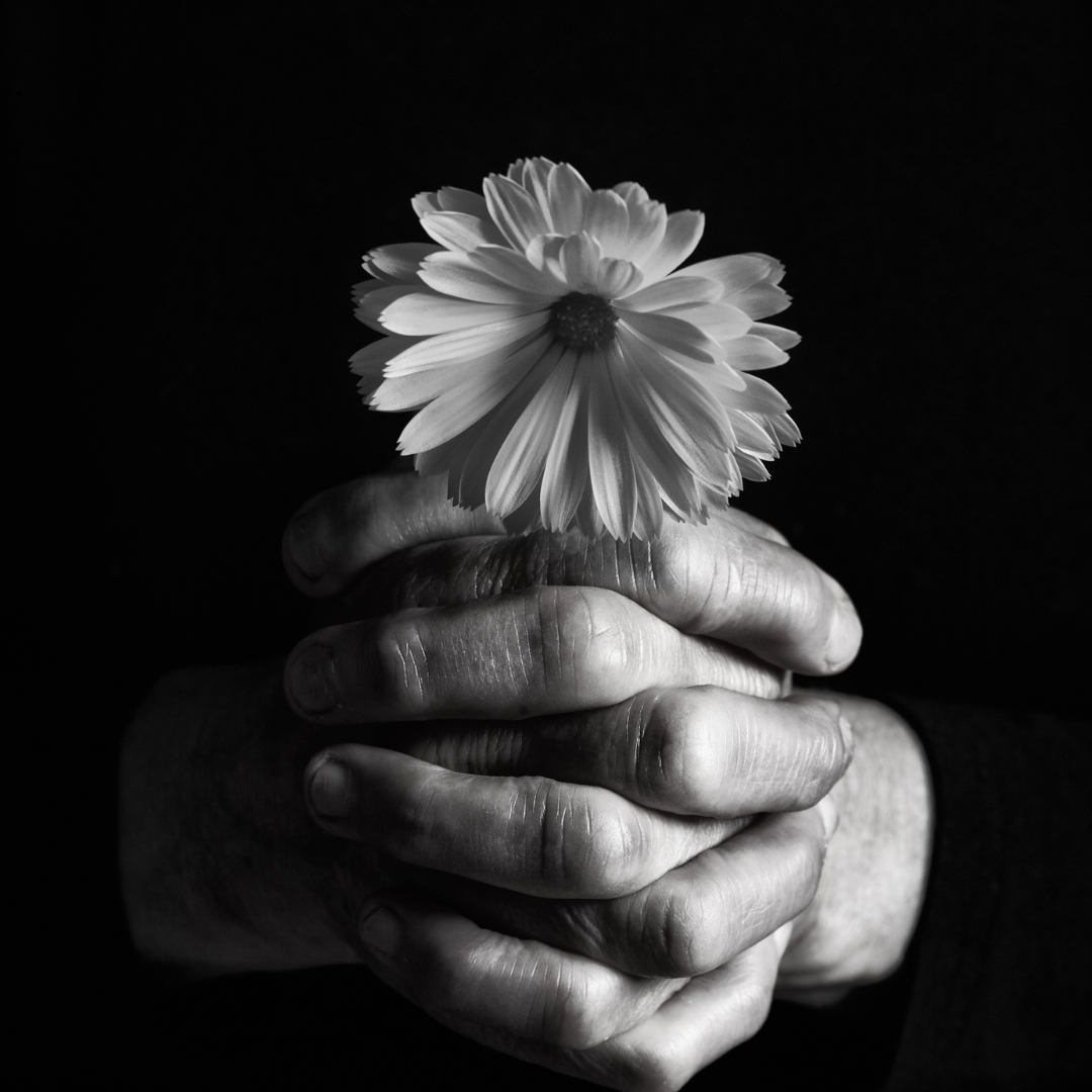 How to Mention Grief Support in an Obituary | Thoughtful Guidance